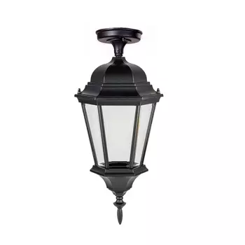 Потолочный светильник уличный IP44 Oasis Light ASTORIA 2 91405LA cover Bl