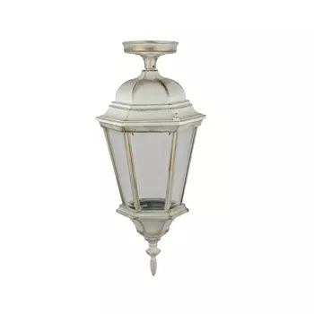 Потолочный светильник уличный IP44 Oasis Light ASTORIA 2 91405LA cover Gw