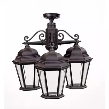 Потолочный светильник уличный IP44 Oasis Light ASTORIA 2 91470LA/3 Bl