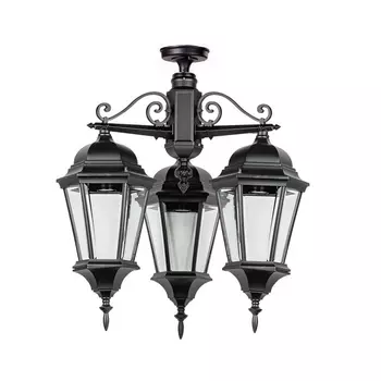 Потолочный светильник уличный IP44 Oasis Light ASTORIA 2 91470LA/3 cover Bl