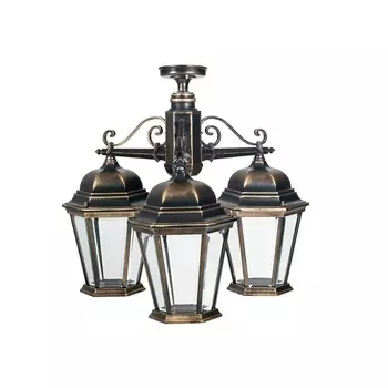 Потолочный светильник уличный IP44 Oasis Light ASTORIA 2 91470LA/3 Gb