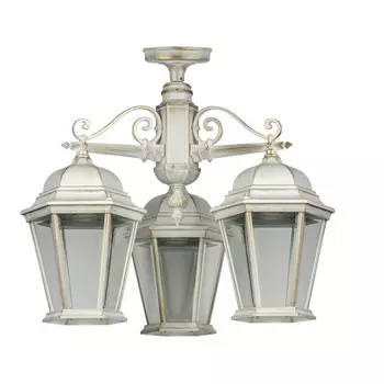 Потолочный светильник уличный IP44 Oasis Light ASTORIA 2 91470LA/3 Gw