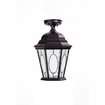 Потолочный светильник уличный IP44 Oasis Light ASTORIA 2M 91405MA Bl овал