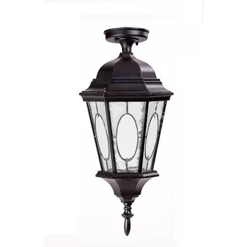 Потолочный светильник уличный IP44 Oasis Light ASTORIA 2M 91405MA cover Bl овал