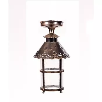 Потолочный светильник уличный IP44 Oasis Light CAIOR 1 81505A Gb в фиде фонаря