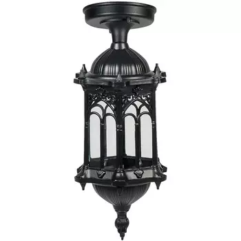 Потолочный светильник уличный Oasis Light DELI S 89905SA Bl