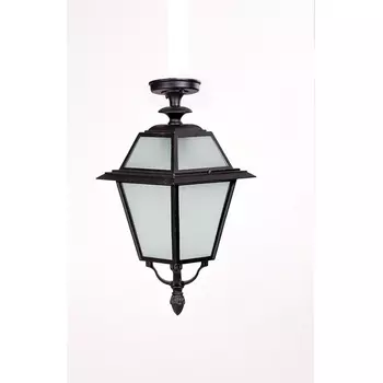 Потолочный светильник уличный IP44 Oasis Light FARO-FROST L 91105fLA Bl