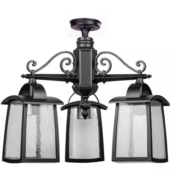 Потолочный светильник уличный Oasis Light FRANKFURT I 27370A 3 02 Bl