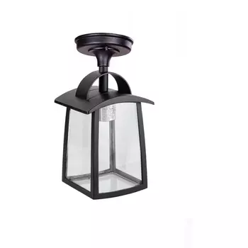 Потолочный светильник уличный Oasis Light FRANKFURT I 2736 05ACl Bl