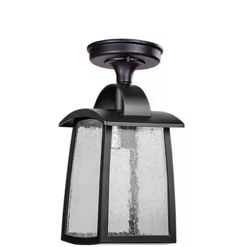 Потолочный светильник уличный Oasis Light FRANKFURT I 2736 05A Bl