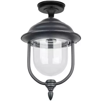 Потолочный светильник уличный Oasis Light MADRID 84305A Bl