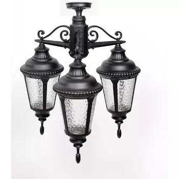 Потолочный светильник уличный IP44 Oasis Light MUNICH 2S 79750SA/3 Bl в фиде фонаря