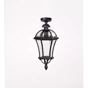Потолочный светильник уличный IP44 Oasis Light ROMA L 95205LA Bl в фиде фонаря