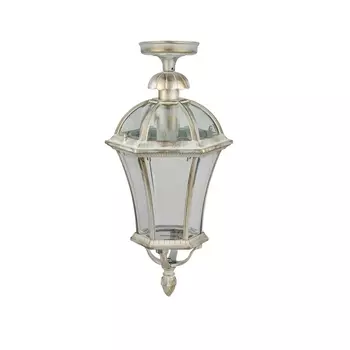 Потолочный светильник уличный IP44 Oasis Light ROMA L 95205LA Gw