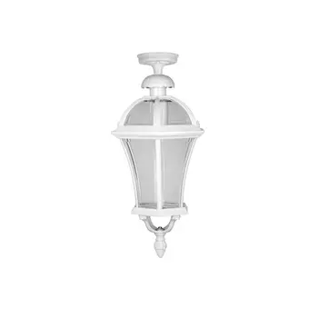 Потолочный светильник уличный IP44 Oasis Light ROMA L 95205LA W