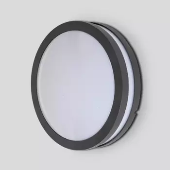 Потолочный светильник уличный Oasis Light SIDNEY 3362 Gr