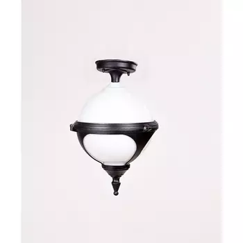 Потолочный светильник уличный IP44 Oasis Light VENA 88405A Bl в форме шара