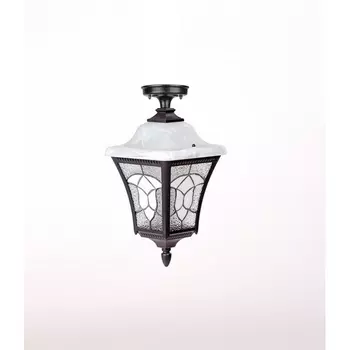 Потолочный светильник уличный IP44 Oasis Light VENECIA 2L 91805LA Bl в фиде фонаря