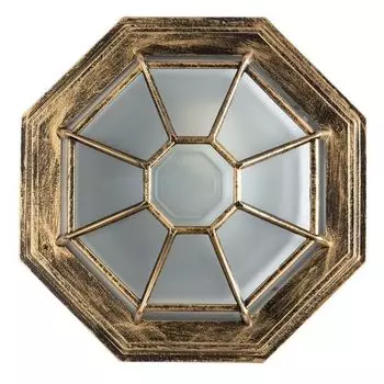 Потолочный светильник уличный IP44 Arte Lamp Pegasus A3121PF-1BN