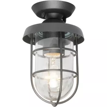 Потолочный светильник уличный IP44 Favourite Pointer 3021-1P