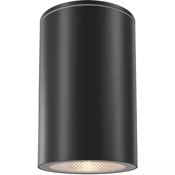 Потолочный светильник уличный IP54 Maytoni Roll O307CL-01B