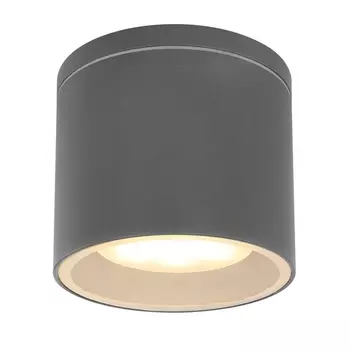 Потолочный светильник уличный светодиодный IP44 Globo Alcala 32063A