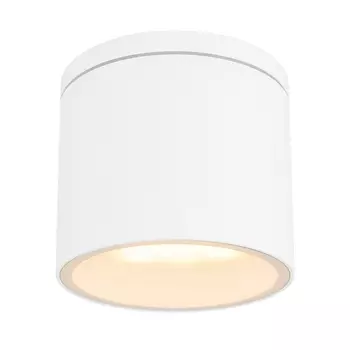 Потолочный светильник уличный светодиодный IP44 Globo Alcala 32063W