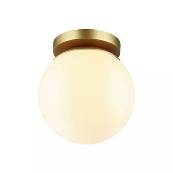 Потолочный светильник уличный светодиодный IP44 Odeon Light Bosco 4247/1C в форме шара