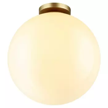 Потолочный светильник уличный светодиодный IP44 Odeon Light Bosco 4250/1C