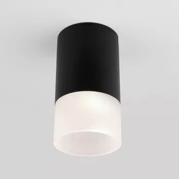 Потолочный светильник уличный IP54 светодиодный 35139/H Elektrostandard Light LED черный