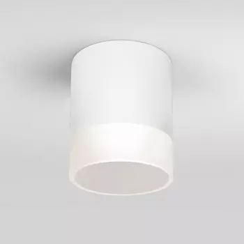 Потолочный светильник уличный IP54 светодиодный 35140/H Elektrostandard Light LED белый