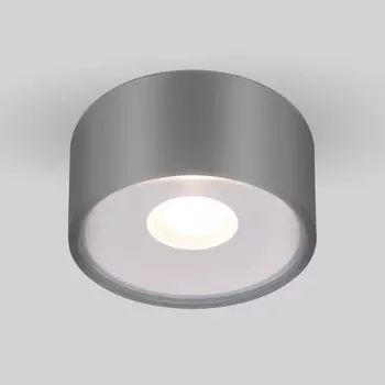 Потолочный светильник уличный светодиодный 35141/H IP65 Elektrostandard Light LED серый