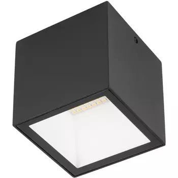 Потолочный светильник уличный светодиодный Oasis Light TUBE LED W3891-3K Bl