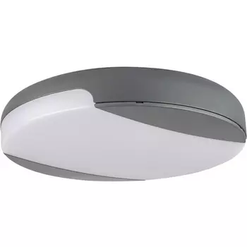Потолочный светильник уличный IP54 светодиодный Oasis Light SIDNEY LED W3034 Gr