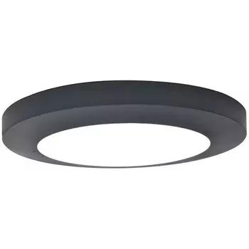 Потолочный светильник уличный IP54 светодиодный Oasis Light SIDNEY LED W3922 Gr