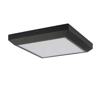 Потолочный светильник уличный IP54 светодиодный Oasis Light SIDNEY LED W1021 Gr