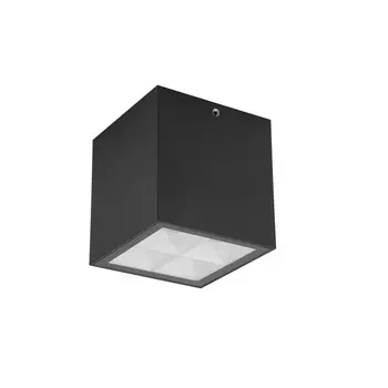 Потолочный светильник уличный IP54 светодиодный Oasis Light TUBE LED W3094 Gr