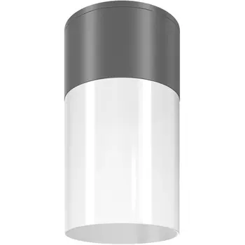 Потолочный светильник уличный Maytoni Willis O418CL-01GR