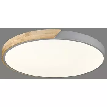 Потолочный светильник круглый с пультом LED Velante 445-267-01