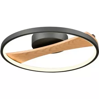 Потолочный светодиодный светильник круглый Velante 450-047-01