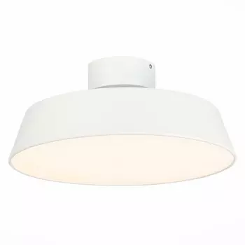 Потолочный светильник Evoluce Vigo SLE600252-01