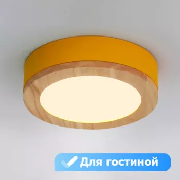 Потолочный светильник круглый LED в гостиную Lu Carte LC-11-0747