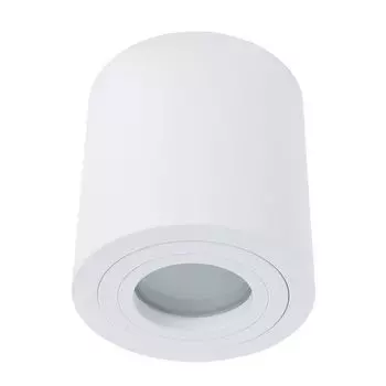 Потолочный светильник влагозащищенный влагозащищенный 1460/03 PL-1 Divinare Galopin