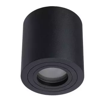 Потолочный светильник влагозащищенный влагозащищенный 1460/04 PL-1 Divinare Galopin