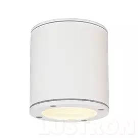 Потолочный светильник влагозащищенный Sitra 231541 (SLV)
