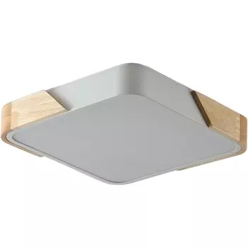 Потолочный светодиодный светильник Zortes Alberro ZRS.01285.48