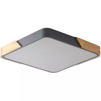 Потолочный светодиодный светильник Zortes Alberro ZRS.01288.24