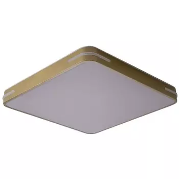 Потолочный светодиодный светильник Zortes Gabby ZRS.1215.04