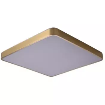 Потолочный светодиодный светильник Zortes Monna ZRS.1209.05