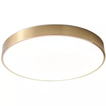 Потолочный светодиодный светильник круглый Zortes Monna ZRS.1209.12